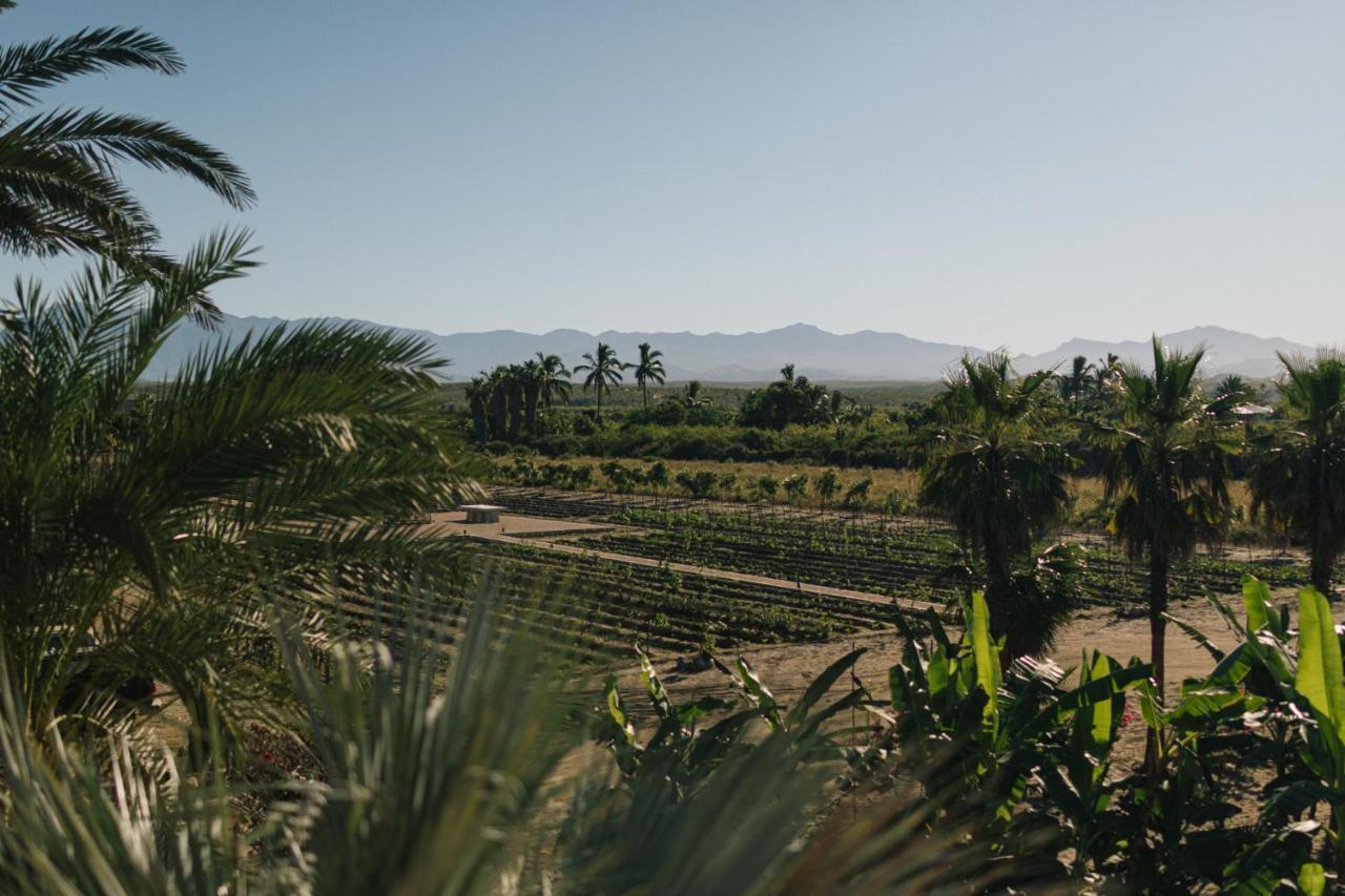 Villa Santa Cruz Todos Santos Exterior photo